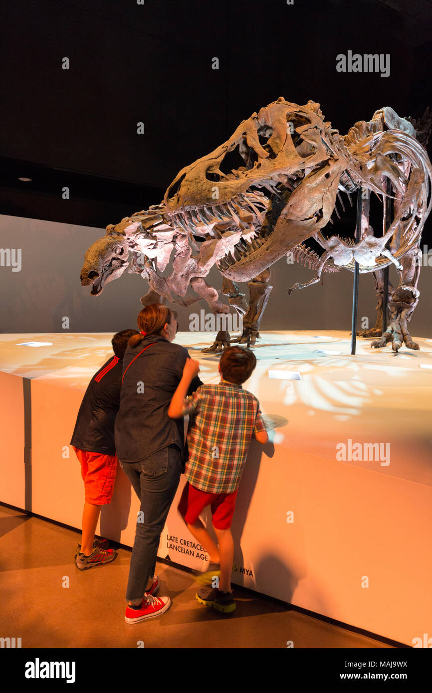 Mutter und Kinder auf die Dinosaurier-skelette suchen, Houston Museum of Natural Science, Houston, Texas, USA Stockfoto