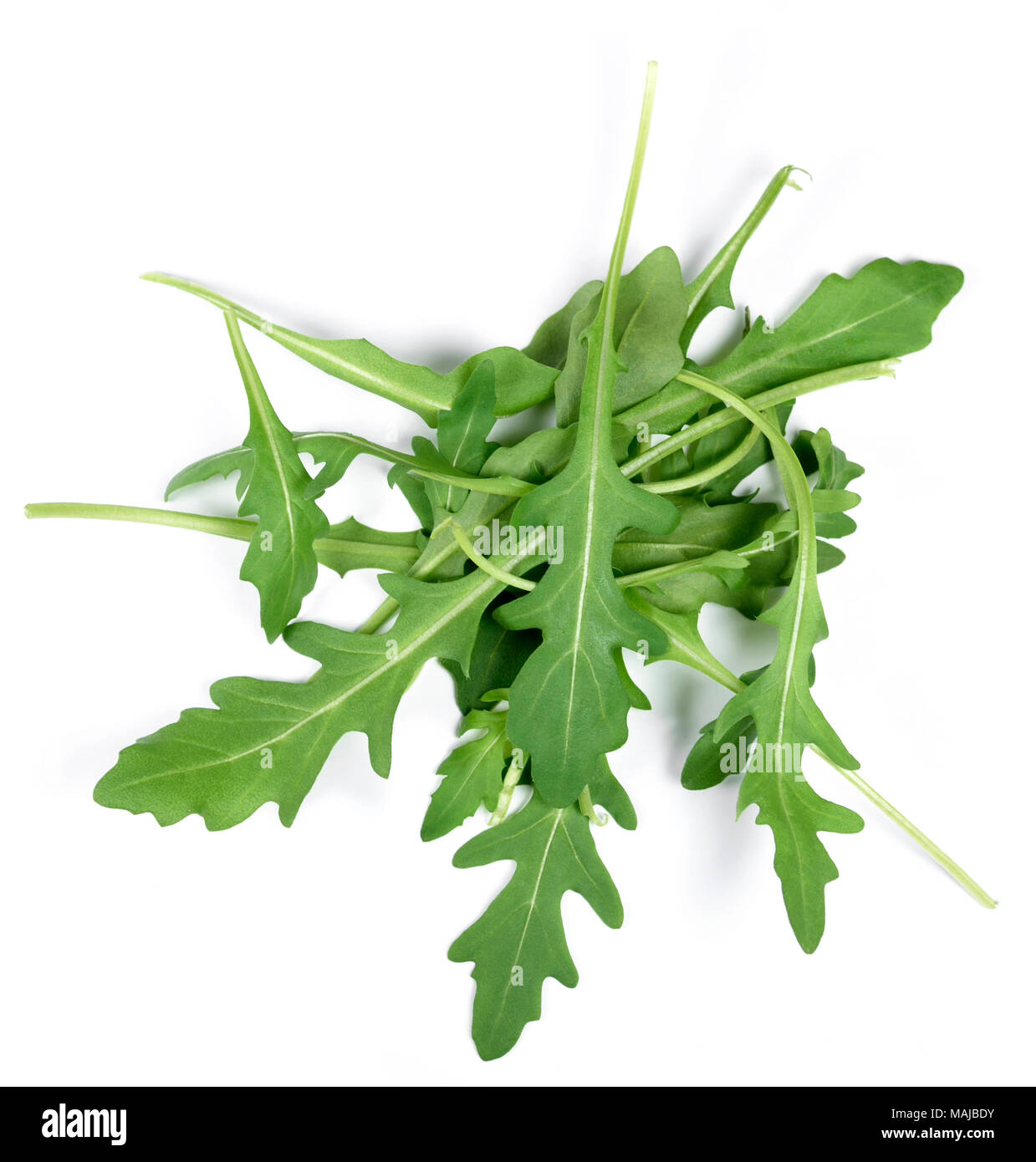 Frische Rucola oder rauke Blätter, auf weißem Hintergrund. Rucola Salat. Stockfoto