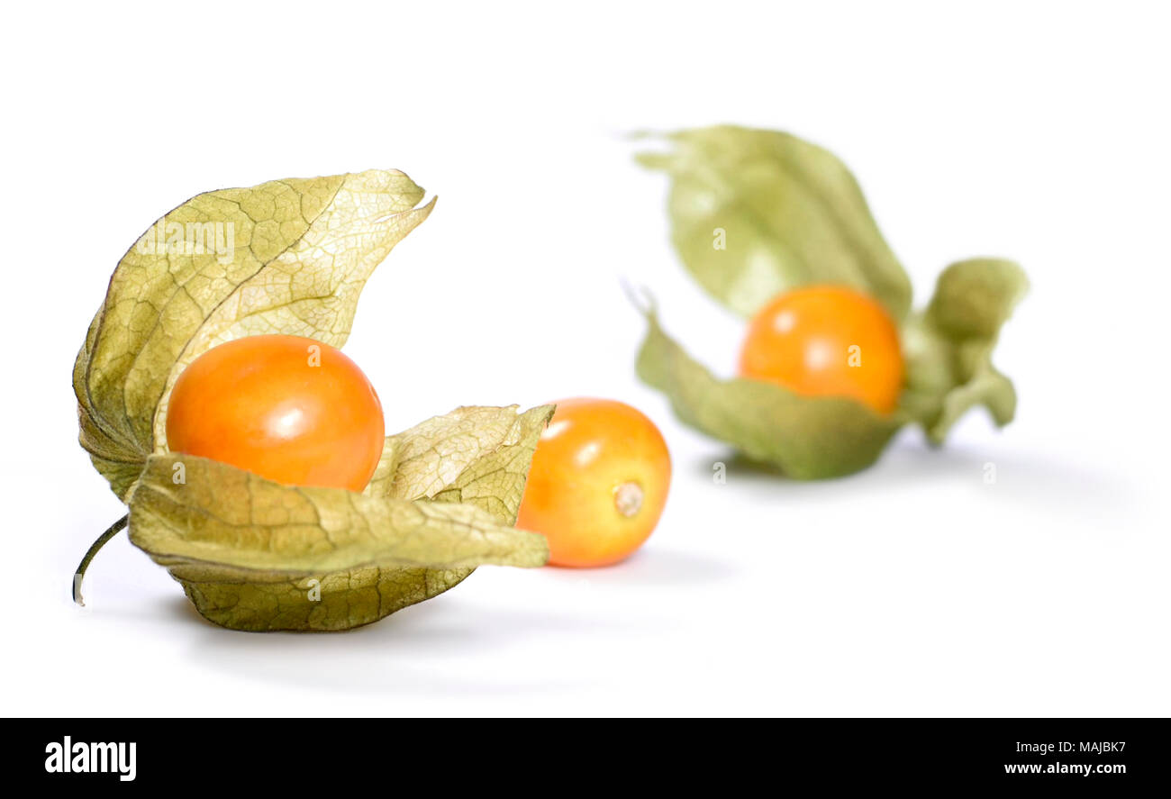 Isolierte physalis oder Winter Kirsche, frische Früchte auf weißem Hintergrund. Reife Stachelbeere, Arrangement. Stockfoto