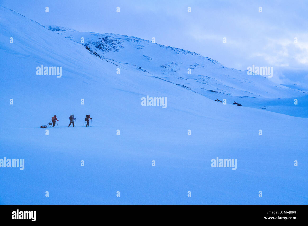 Drei Skitourengeher im Norden von Norwegen, in blau Abend licht Stockfoto