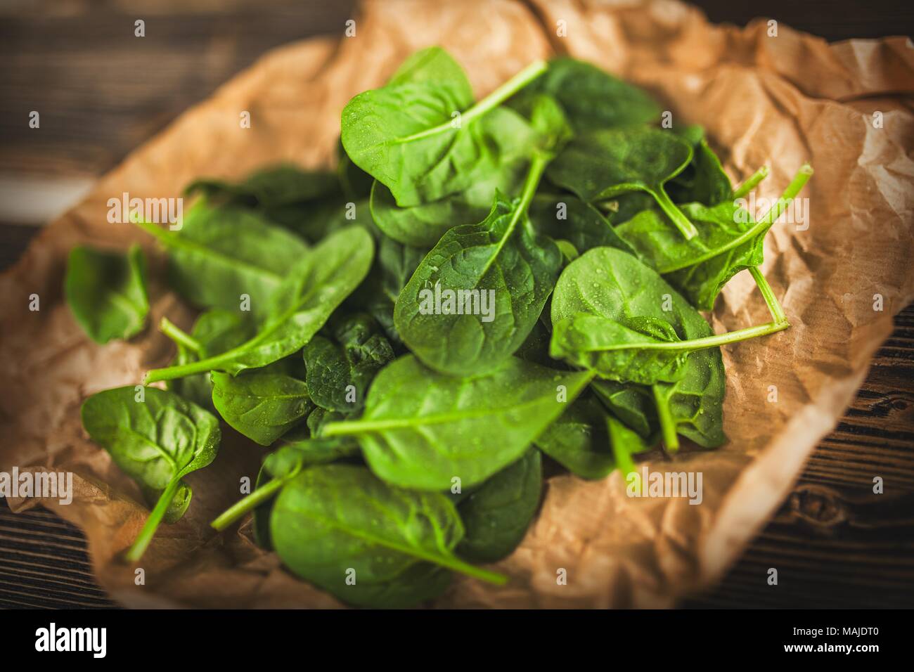 Baby-Blattspinat Stockfoto