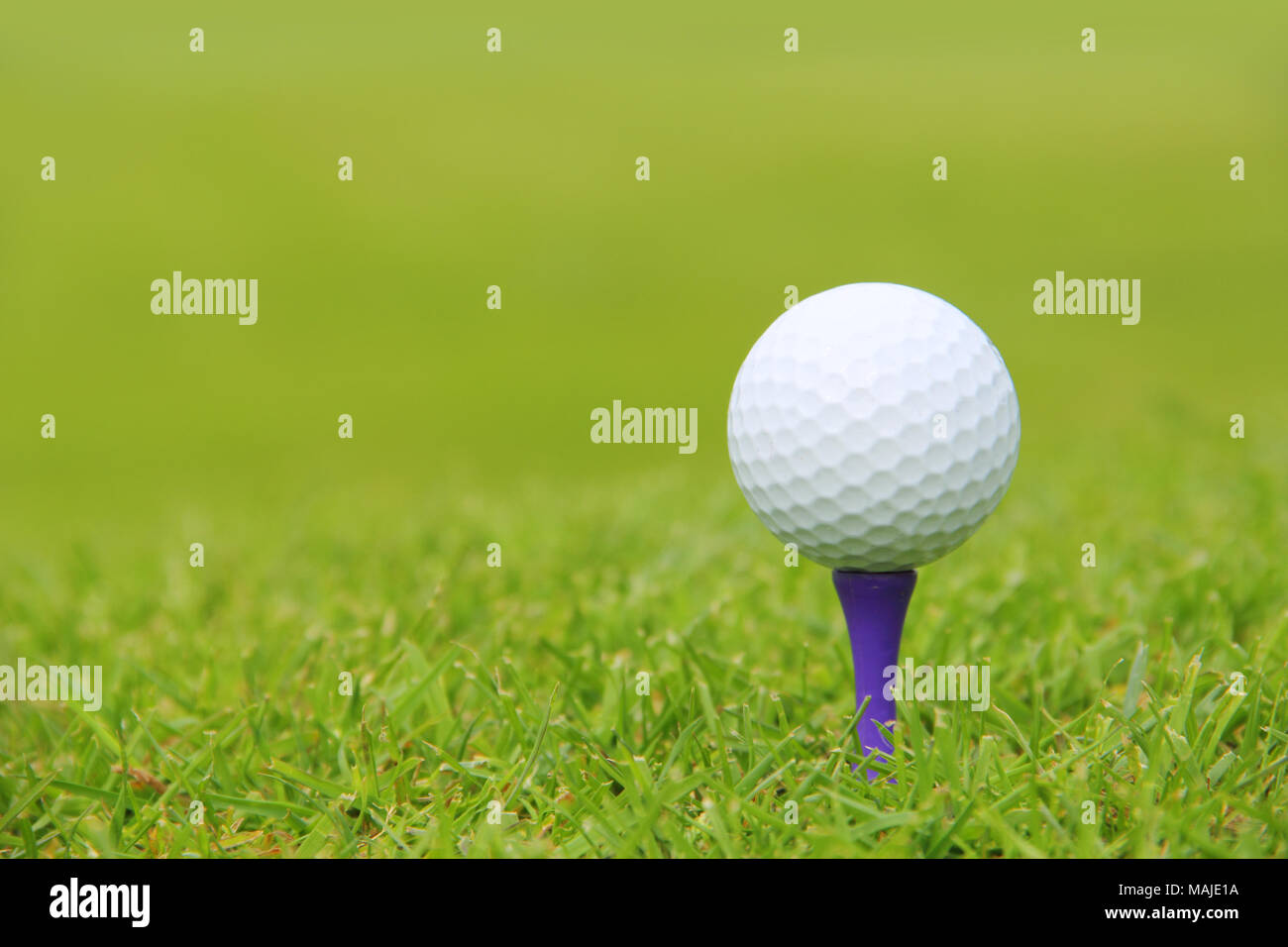 Golfball auf Tee Nahaufnahme Stockfoto