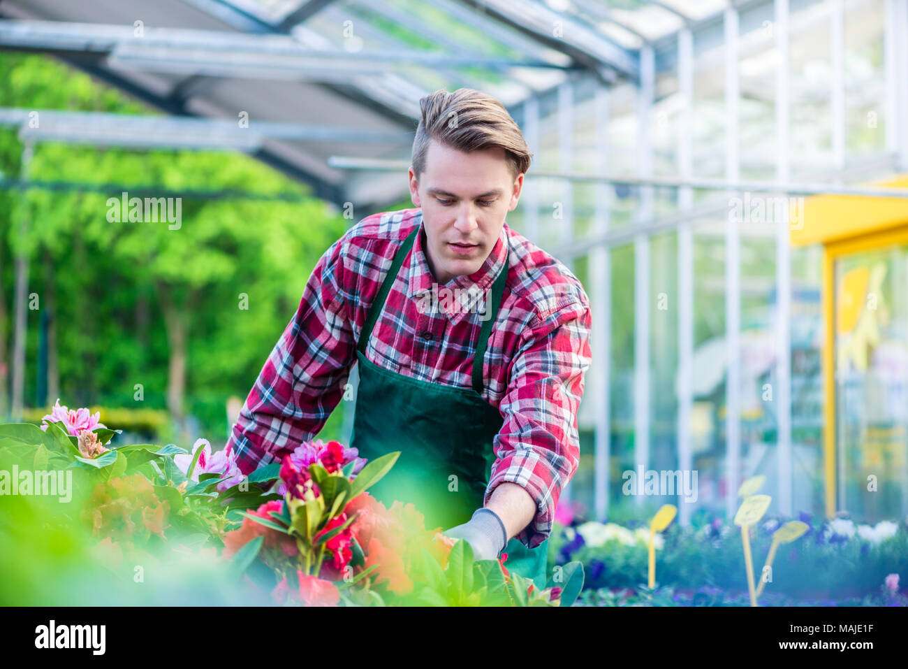 Florist während der Arbeit in einer modernen Flower Shop mit verschiedenen Blumen gewidmet Stockfoto