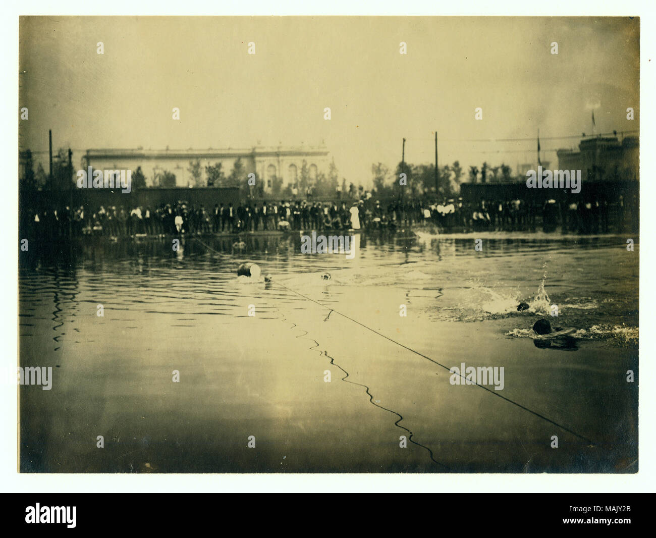 Horizontale Foto von Schwimmer in einem Körper von Wasser zu einer Linie über das Wasser gestreckt. Die Zuschauer stehen auf der Seite des Sees. Titel: das Ende der ersten Hitze der 50 Yard schwimmen 1904 Olympics. . 1904. Stockfoto