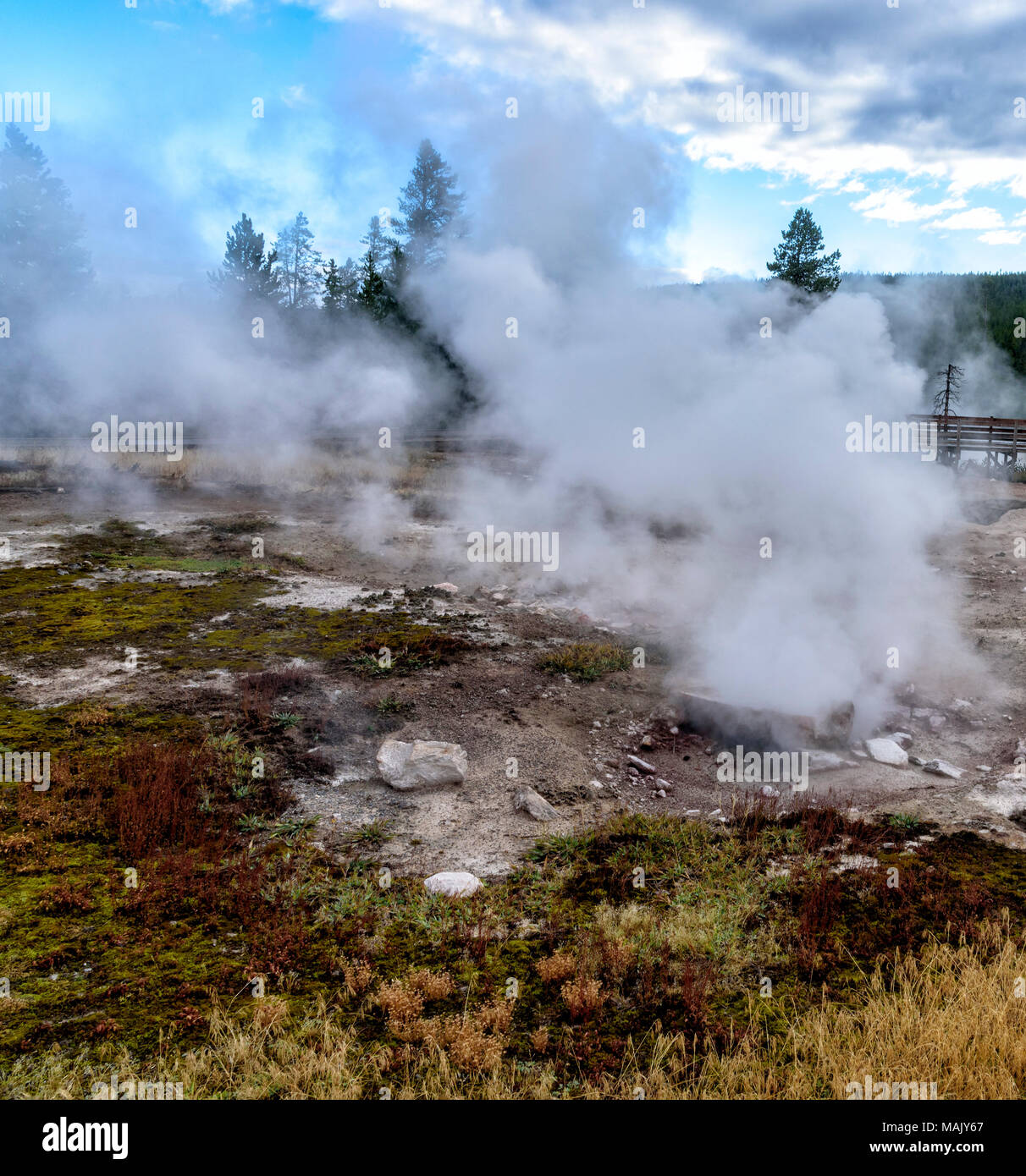 Heißer Dampf und Gas, die sich aus dem Boden, die das Clearing von Felsen und totem Gras in Yellowstone. Stockfoto