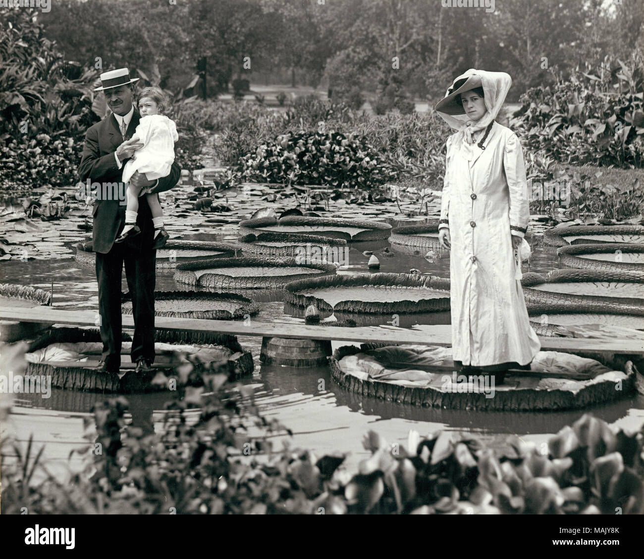 Titel: Frau und Mann mit Kind auf "Victoria Regina' Seerosen im Tower Grove Park. . Ca. 1900. Stockfoto
