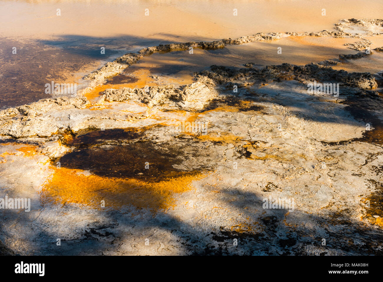 Mineralische Ablagerungen im Pool von Wasser im Yellowstone National Park. Stockfoto