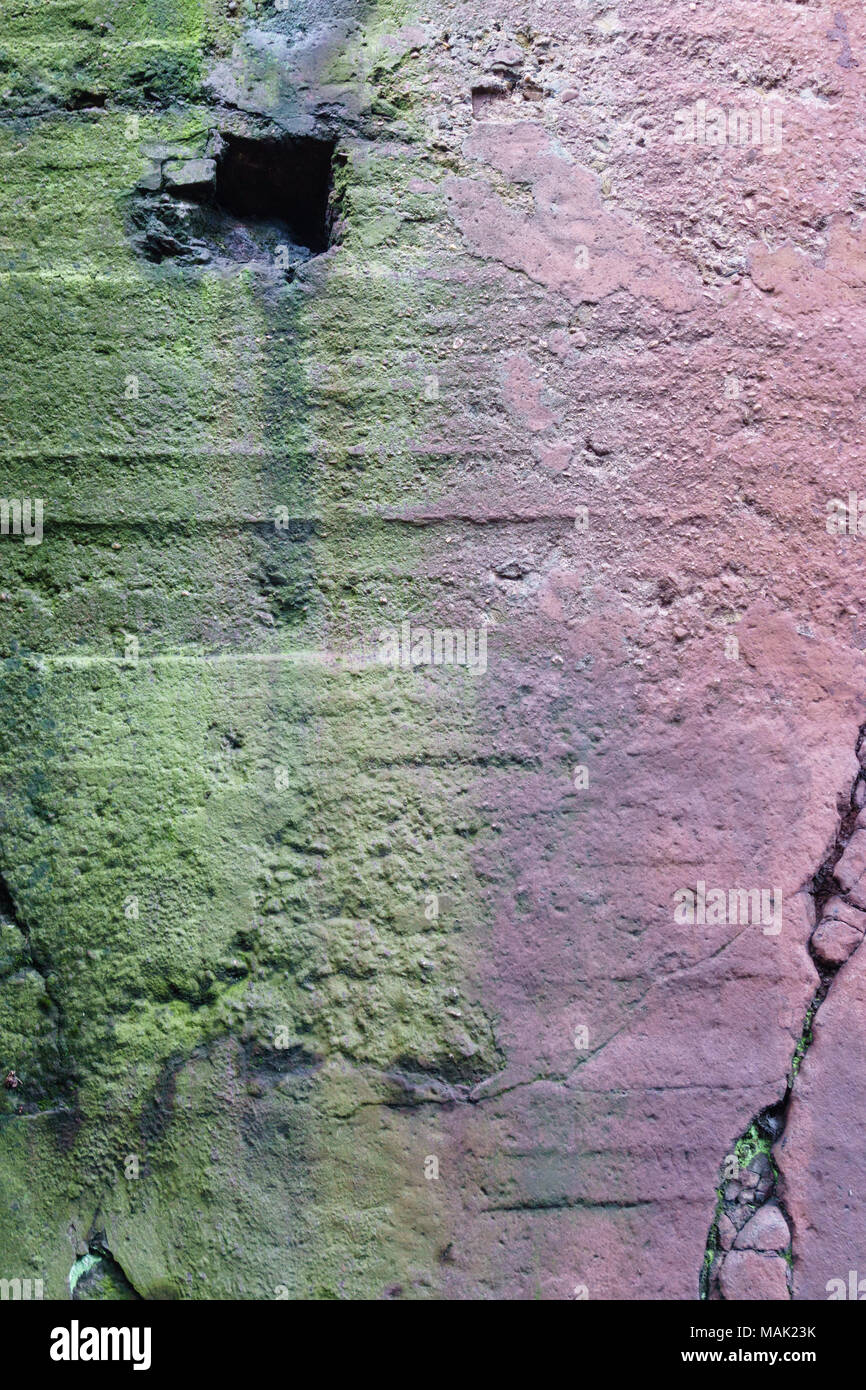 Eine Betonwand nützlich als Hintergrund mit Moos Stockfoto