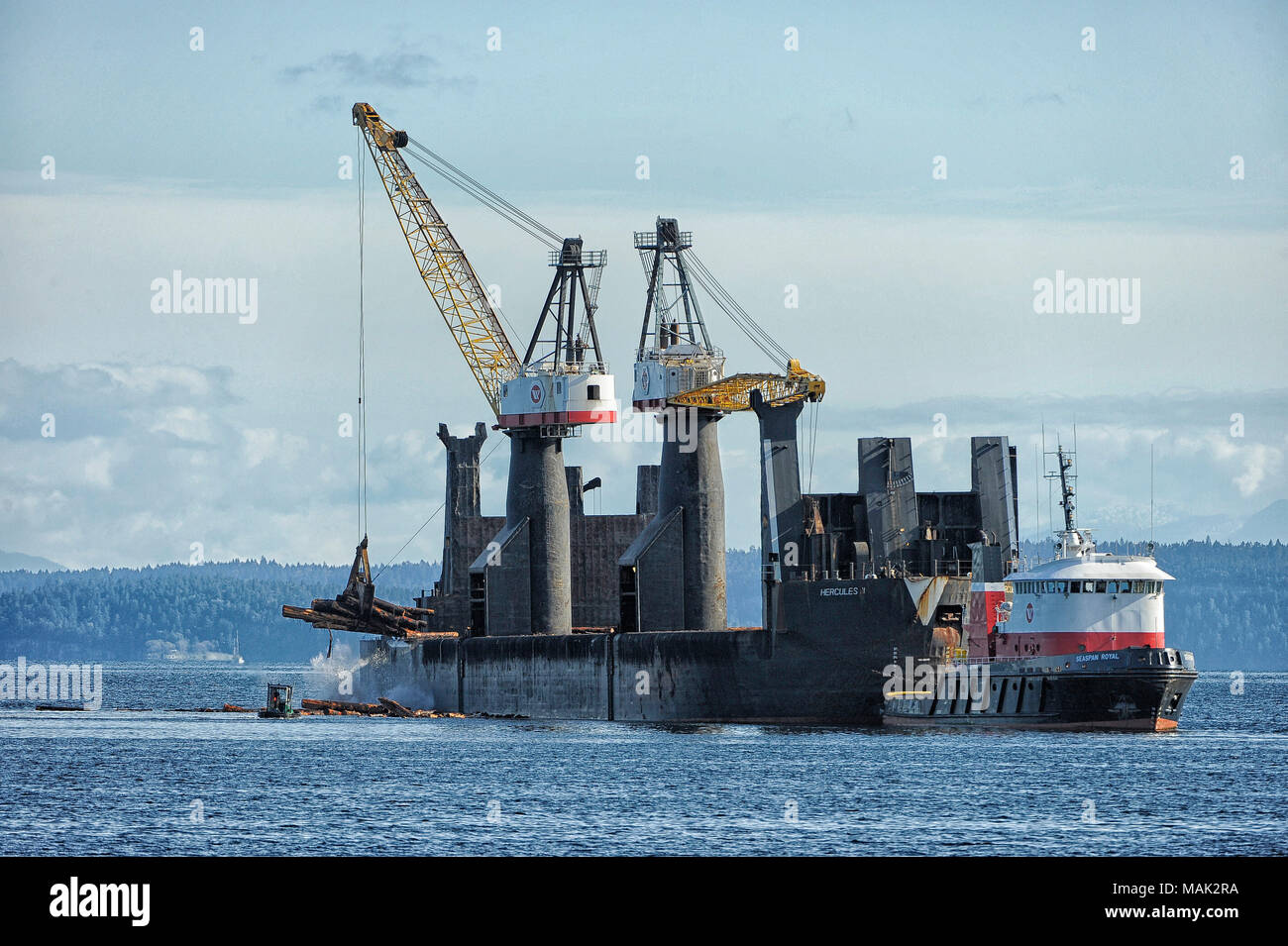 Logging barge Hercules durch große tug Seaspan Royal offloading Logs, Ladysmith, British Columbia, Kanada besucht Stockfoto
