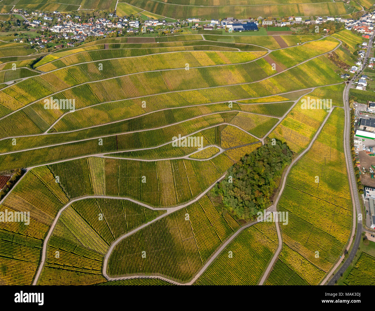 Weinbaugebiet Mosel, Weinberge, Schwebsingen Luxemburg, Saarland, Grevenmacher, Luxemburg, Europa, Luftaufnahme, Vögel-Augen-blick, Luftaufnahme, ein Stockfoto