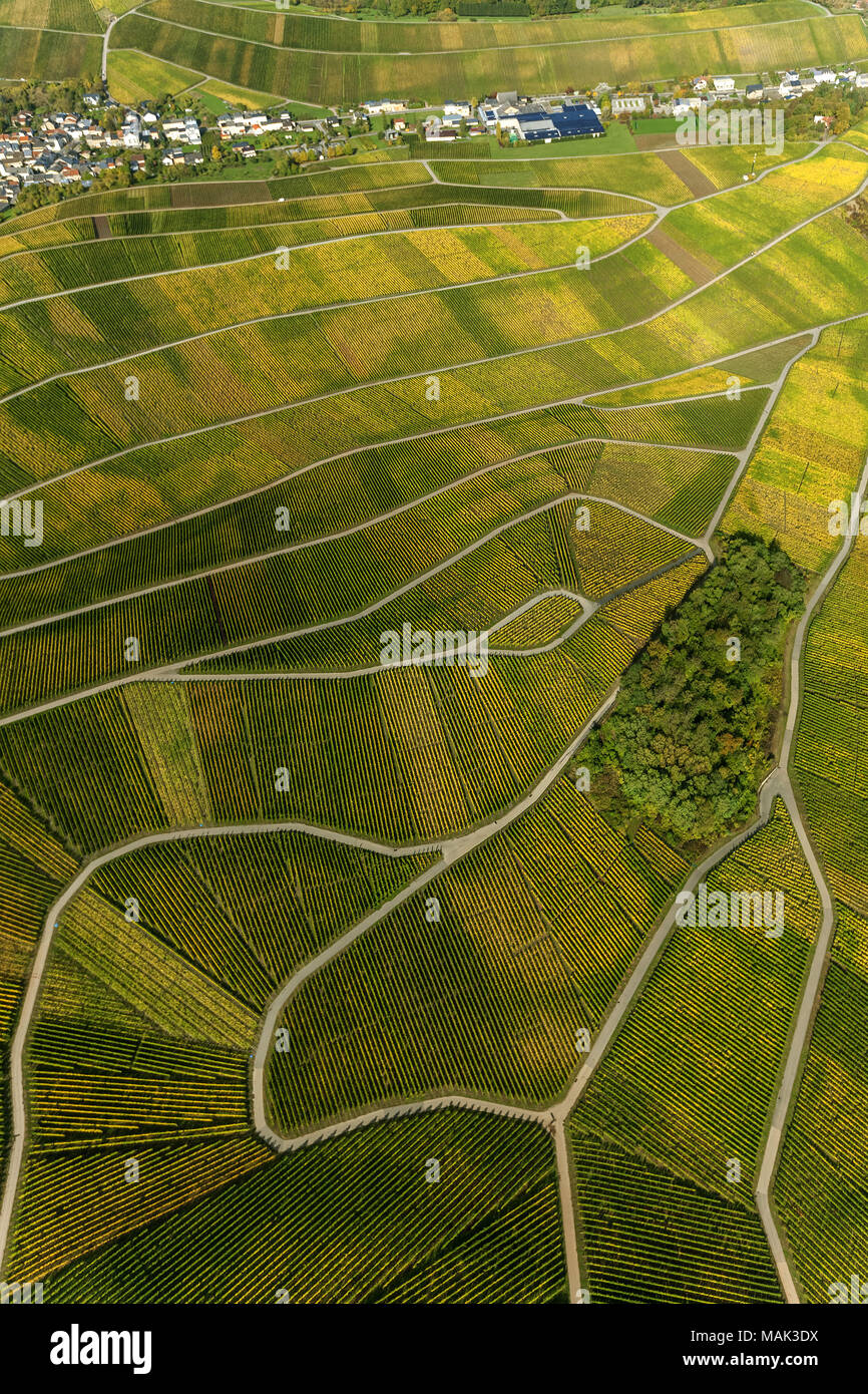 Weinbaugebiet Mosel, Weinberge, Wellenstein, Saarland, Grevenmacher, Luxemburg, Europa, Luftaufnahme, Vögel-Augen-blick, Luftaufnahme, Aerial photog Stockfoto