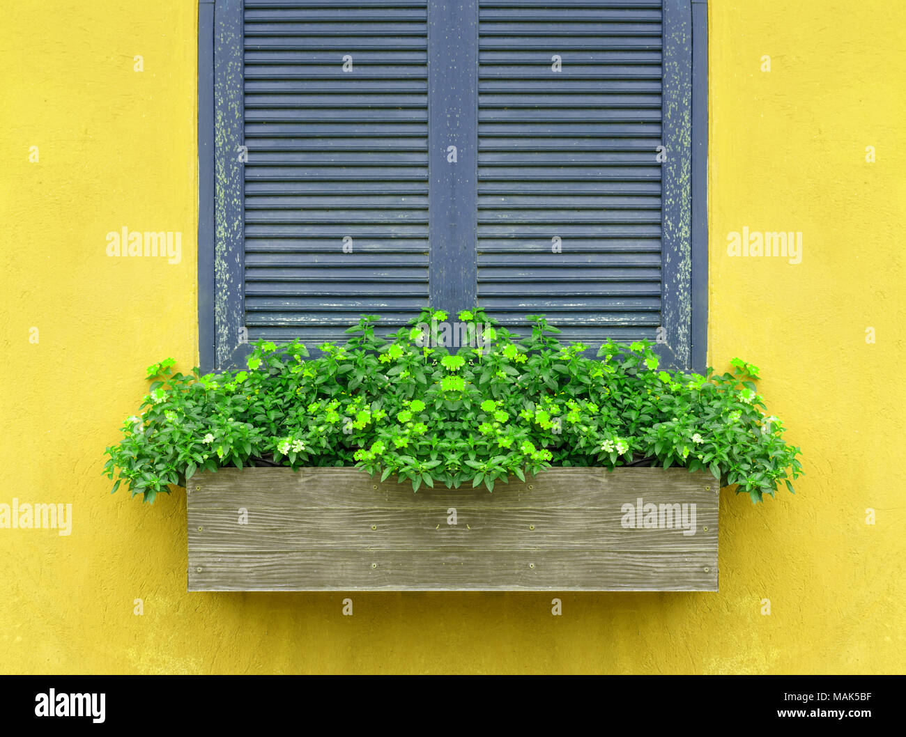 Mit Blumenkasten Und Gelbe Wand Fenster Stockfotografie Alamy