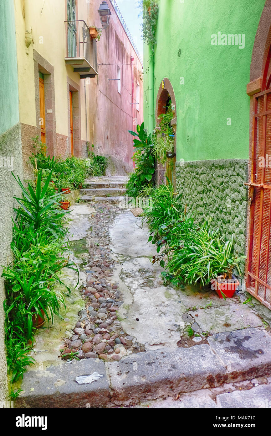 Bunte Straße mit Töpfe und Pflanzen in Bosa Altstadt, Sardinien, Italien eingerichtet Stockfoto
