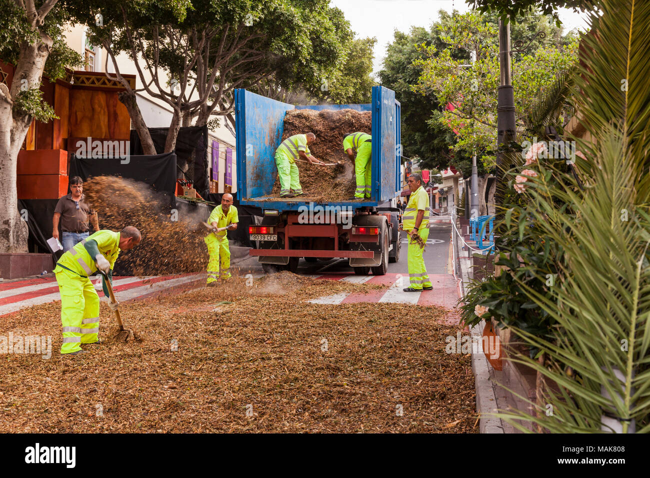 Vorbereitungen der Calle Grande die Szene für die jährliche Leidenschaft Spielen durch Abdecken der Straße mit organischen Blatt und Mulch, Adeje, Teneriffa, Canar Stockfoto
