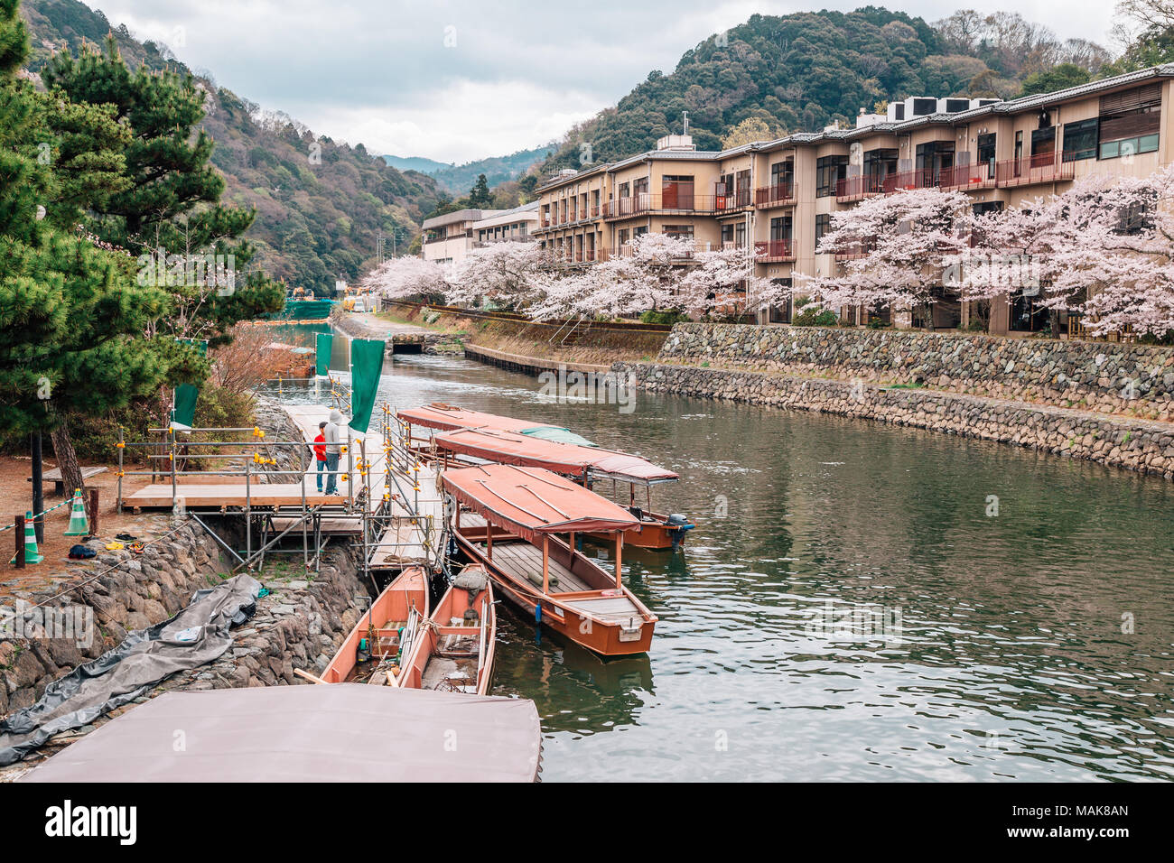 Uji Flusses mit Kirschblüten in Kyoto, Japan Stockfoto