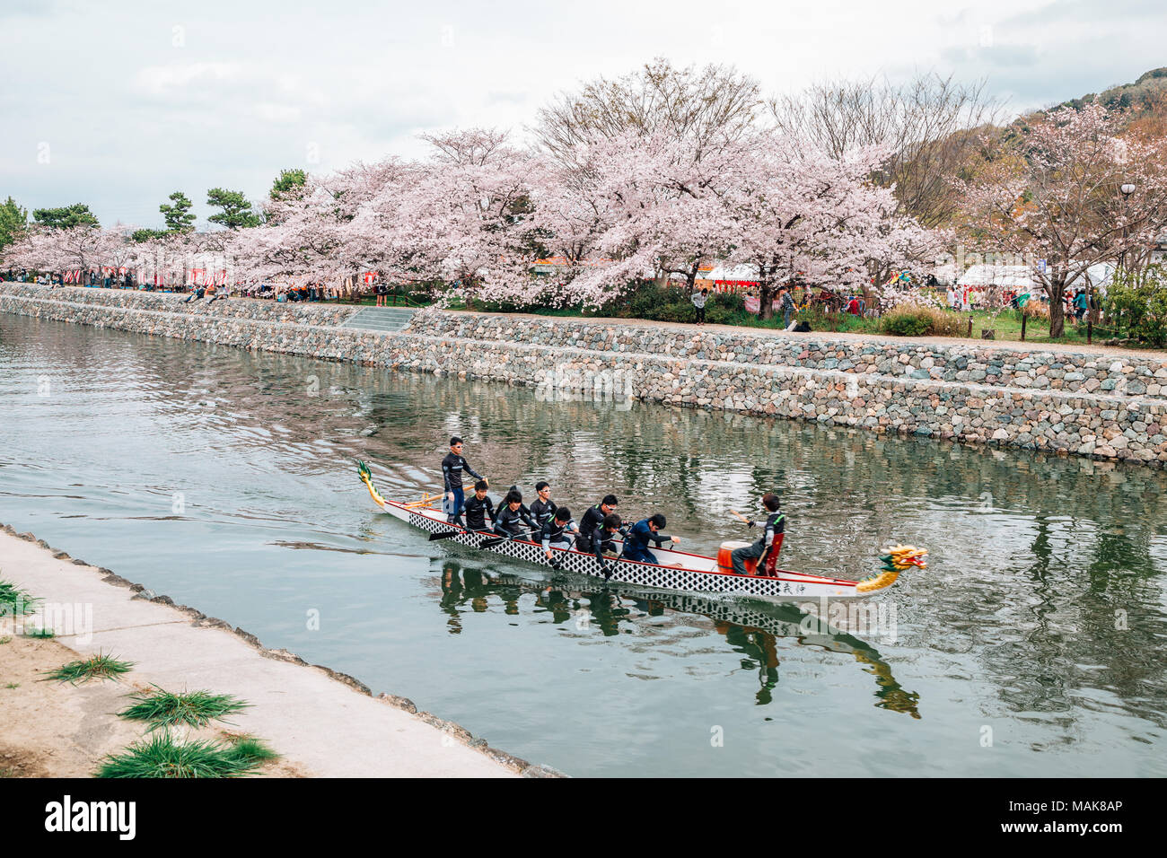 Kyoto, Japan - 3. April 2016: Uji Flusses mit Kirschblüten Stockfoto