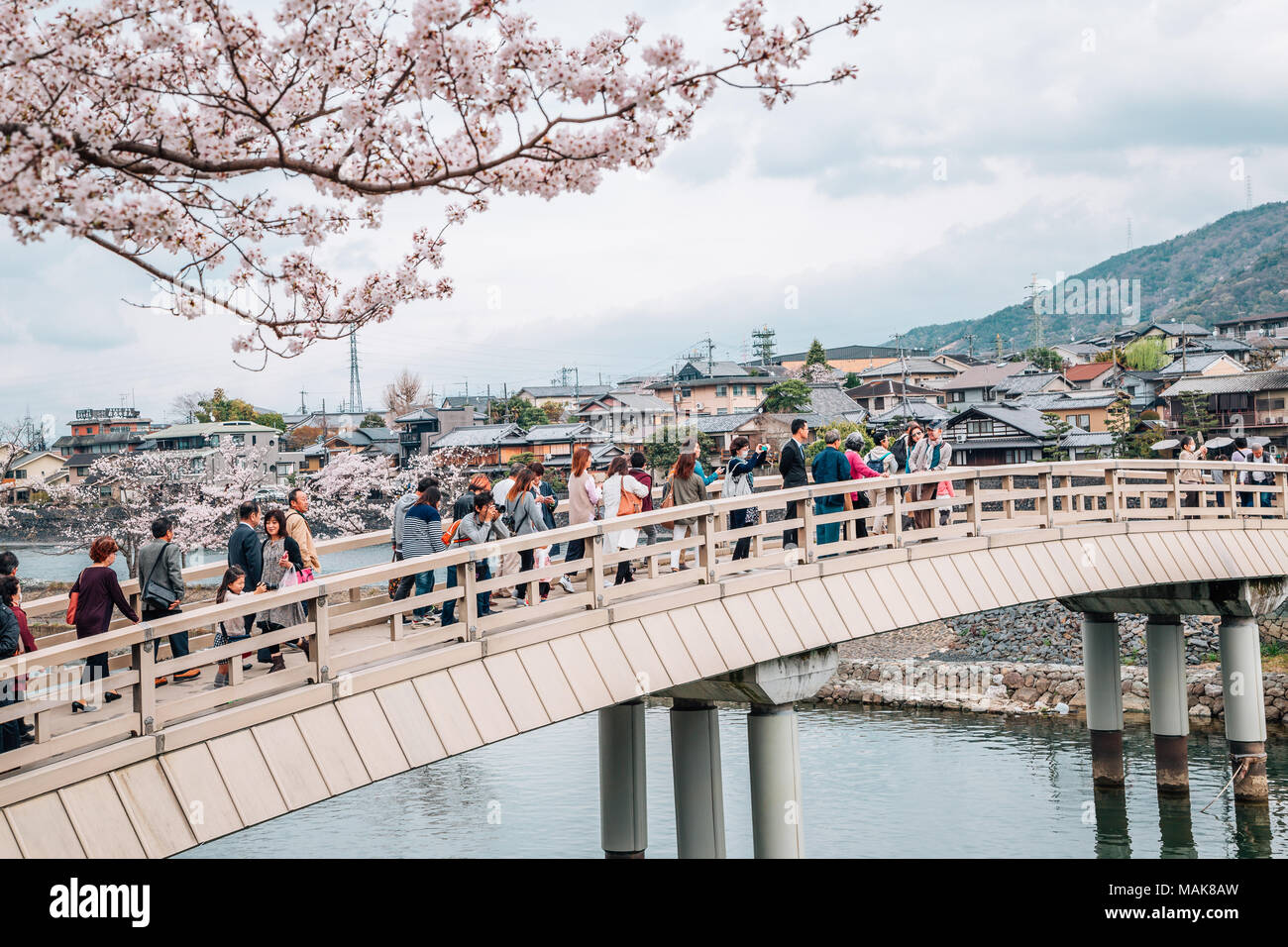 Kyoto, Japan - 3. April 2016: Uji Flusses mit Kirschblüten Stockfoto