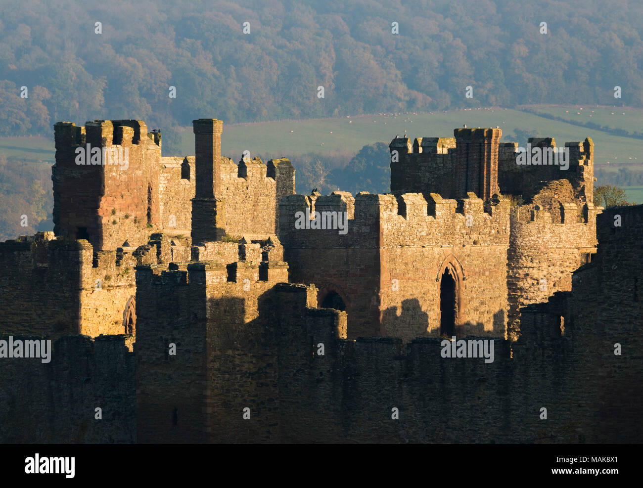 Am frühen Morgen Licht hebt die Mauern von Ludlow Castle, Shropshire. Stockfoto