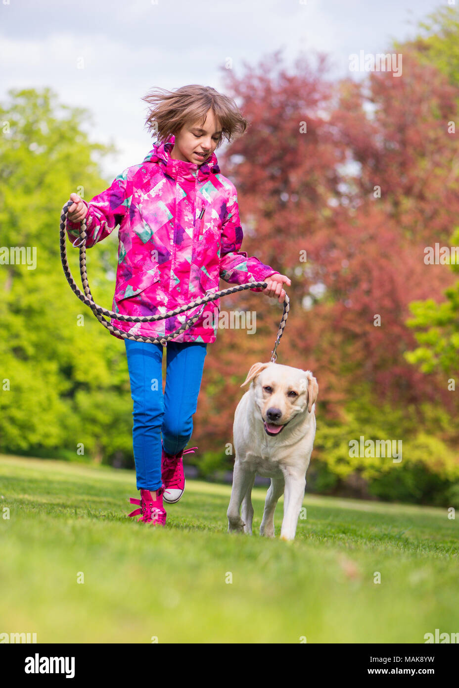 Mädchen mit Hund im Park Stockfoto