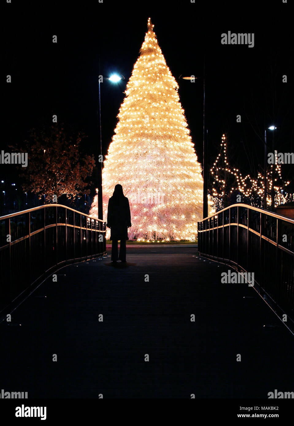 Silhouette einer Person vor einem Weihnachtsbaum und Weihnachtsbaum leuchtet in der Nacht. Stockfoto