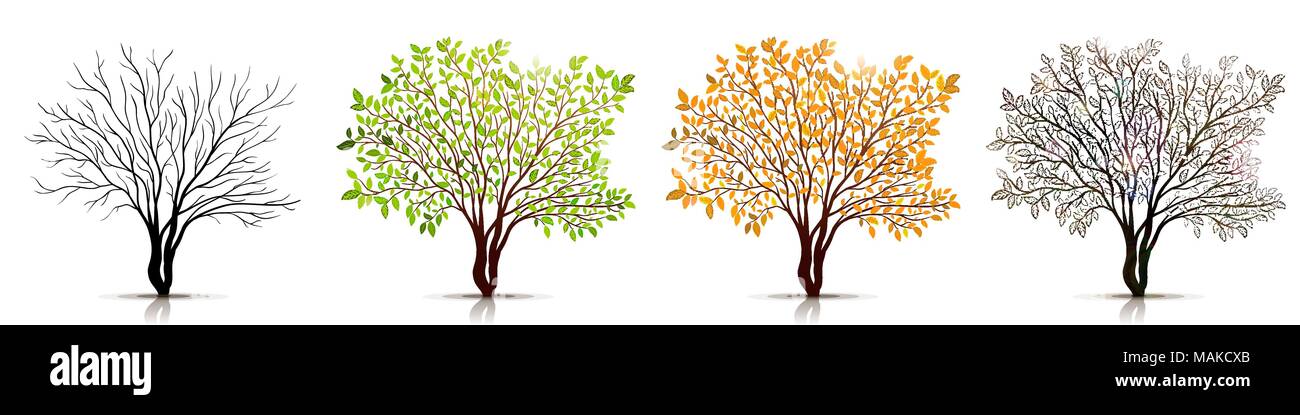 Jahreszeiten der Baum Vektor Stock Vektor