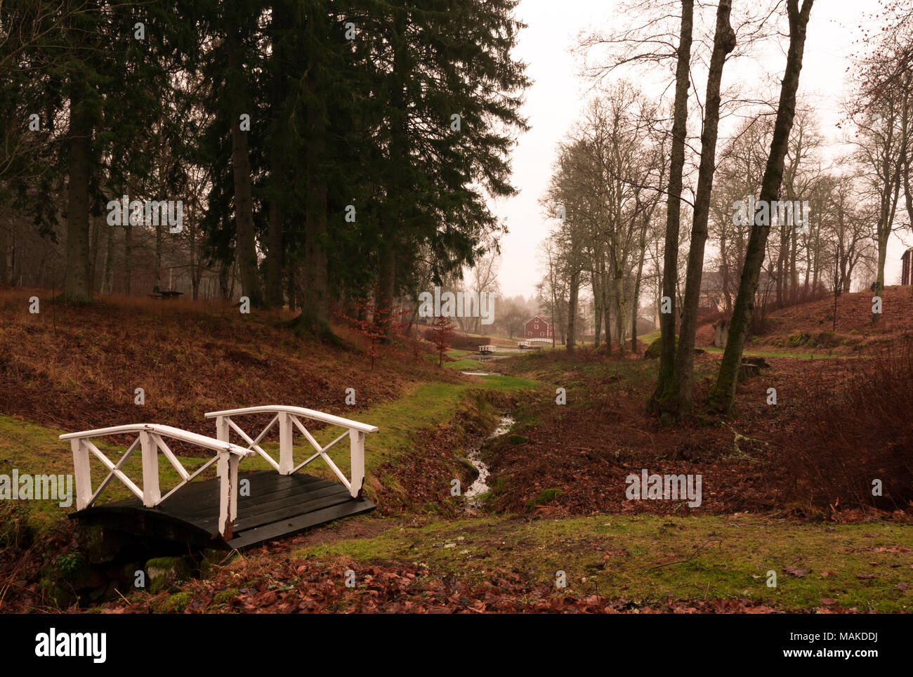 Eine kleine Brücke über einen Bach in den Schwedischen Wäldern. Stockfoto