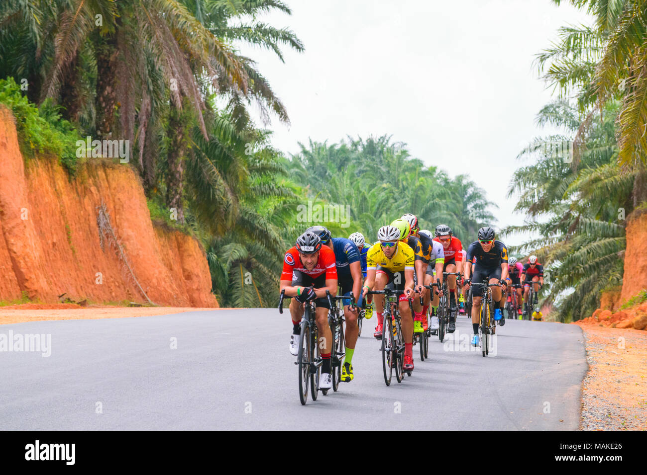 März 24, 2018 - Radfahrer Teilnehmer Tour de Bintan 2018 (144 km) Fahrt über die Plantagen und Toapaya Galang batang, Bintan Island - Indonesien Stockfoto