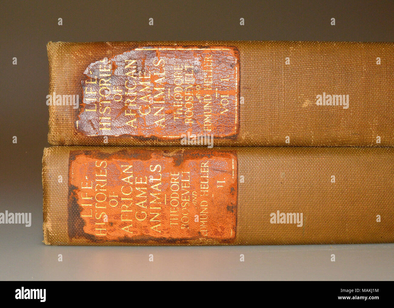 "Life-Histories der afrikanischen Tiere, Band I" (1 a-c) und "Life-Histories der afrikanischen Tiere, Band II" (2 a-b) durch Theodore Roosevelt und Edmund Heller. Diese Bücher waren Teil der Marlin Perkins' persönliche Leihbibliothek, und immer noch die ursprünglichen Kredite Karten aus, behalten. Titel: 'Life-Histories der afrikanischen Tiere, Band I und II" von Theodore Roosevelt und Edmund Heller, aus der Sammlung von Marlin Perkins. 1914. Stockfoto