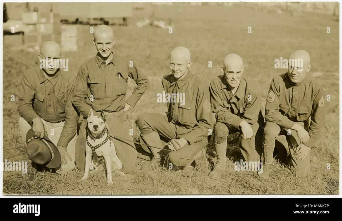 Horizontale, sepia Foto, fünf uniformierte Soldaten Knien in einen Grasplatz für ein Foto posieren. Einer der Soldaten hält die Leine des Hundes trägt einen Kabelbaum und einen Kragen. Titel: Fünf Soldaten Knien in Gras Posieren für Bild mit einem Hund an der Leine. . Zwischen ca. 1914 und ca. 1918. Michel, Carl Stockfoto