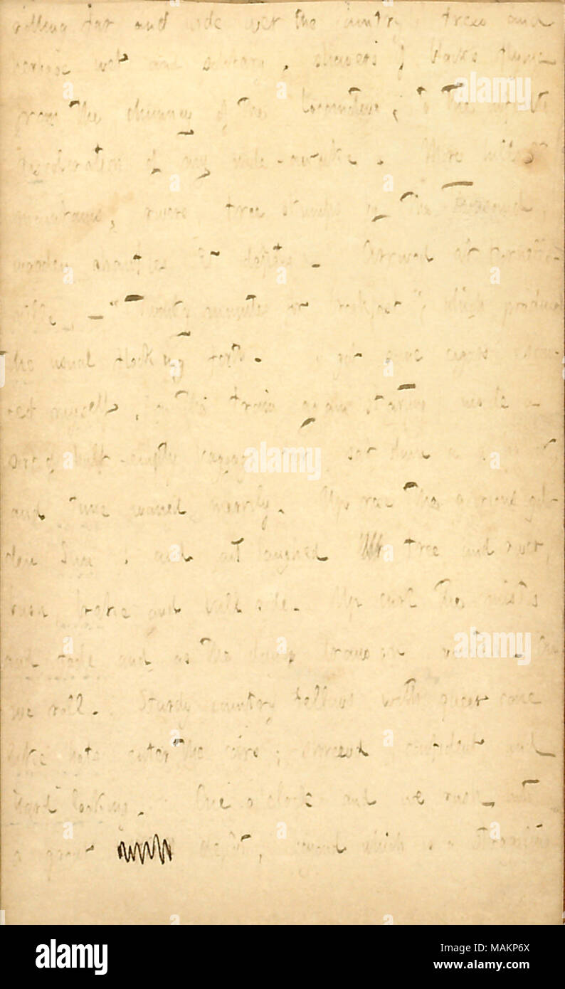 Beschreibt seine Eisenbahn Reise zu den Niagarafällen. Transkription: Rolling weit und breit über das Land, die Bäume und die nassen Gras und einsame, Schauer von schwarzen Fliegen aus dem Schornstein der Lokomotive, der unendlichen Verfärbung meiner hellwach. Mehr Hügel und Berge, Flüsse, Baumstümpfe, die von Tausend, Holz- shanties & Depots. Bei Hornellsville, angekommen? ? Ǣtwenty Minuten oder ein Frühstück? Die üblichen Beflockung weiter. Ich habe einige Zigarren, esconced Mich, (Mit diesem Zug wieder beginnend) innerhalb einer Art halb leeren Gepäckwagen, setzte sich auf einen grossen Kasten, und Zeit schwand fröhlich. Bis Ros Stockfoto