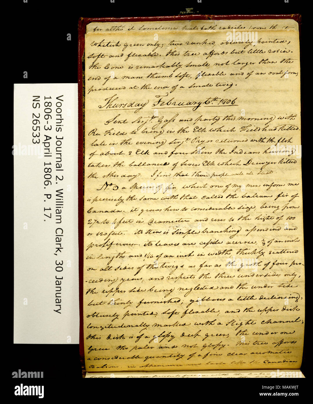 'Nur weißlich grün; zwei geordnete, obtusely hingewiesen, Weich und flexable. . ." Titel: Clark Familie Sammlung: Band 2. Voorhis Journal Nr. 2, Seite 17, March 5-6, 1806. Vom 5. Februar 1806. Clark, William, 1770-1838 Stockfoto