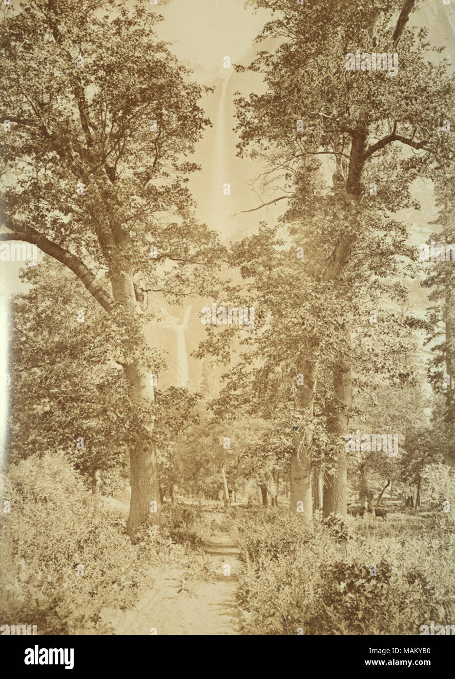 . Englisch: Ein Album von Carleton E Watkins (1829-1916), einer der besten amerikanischen Landschaftsfotografen des neunzehnten Jahrhunderts. . 1873 bis 1883. Carleton Watkins -8296) - Alternative Namen Carleton E. Watkins, Carleton Eugene Watkins, Carleton Emmons Watkins, C.E. Watkins; Eugene Watkins Beschreibung amerikanischer Fotograf Geburtsdatum / Tod am 11. November 1829 vom 23. Juni 1916 Ort der Geburt / Todes Oneonta, New York Napa Arbeit Periode zwischen 1861 und 1906 Arbeiten Standort Kalifornien, Oregon, Utah Authority control: Q 2939083 VIAF: 045696 ISNI: 00 0001 0872 7077 ULAN: 0002731 LCCN Stockfoto . Englisch: Ein Album von Carleton E Watkins (1829-1916), einer der besten amerikanischen Landschaftsfotografen des neunzehnten Jahrhunderts. . 1873 bis 1883. Carleton Watkins -8296) - Alternative Namen Carleton E. Watkins, Carleton Eugene Watkins, Carleton Emmons Watkins, C.E. Watkins; Eugene Watkins Beschreibung amerikanischer Fotograf Geburtsdatum / Tod am 11. November 1829 vom 23. Juni 1916 Ort der Geburt / Todes Oneonta, New York Napa Arbeit Periode zwischen 1861 und 1906 Arbeiten Standort Kalifornien, Oregon, Utah Authority control: Q 2939083 VIAF: 045696 ISNI: 00 0001 0872 7077 ULAN: 0002731 LCCN Stockfoto