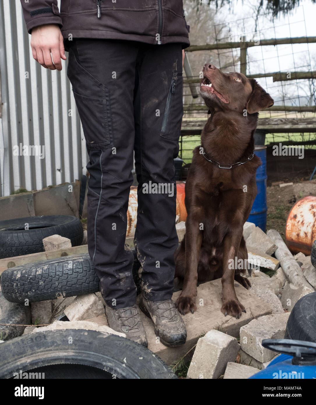 25 März 2018, Deutschland, Barsinghausen: Labrador "Harry" sitzen in einem kleinen Bereich der Schmutz mit seinem Besitzer Kathrin Eikhoff als Teilnehmer in der 4. Offenen Zustand Meisterschaft für Rettungshunde. Foto: Peter Steffen/dpa Stockfoto