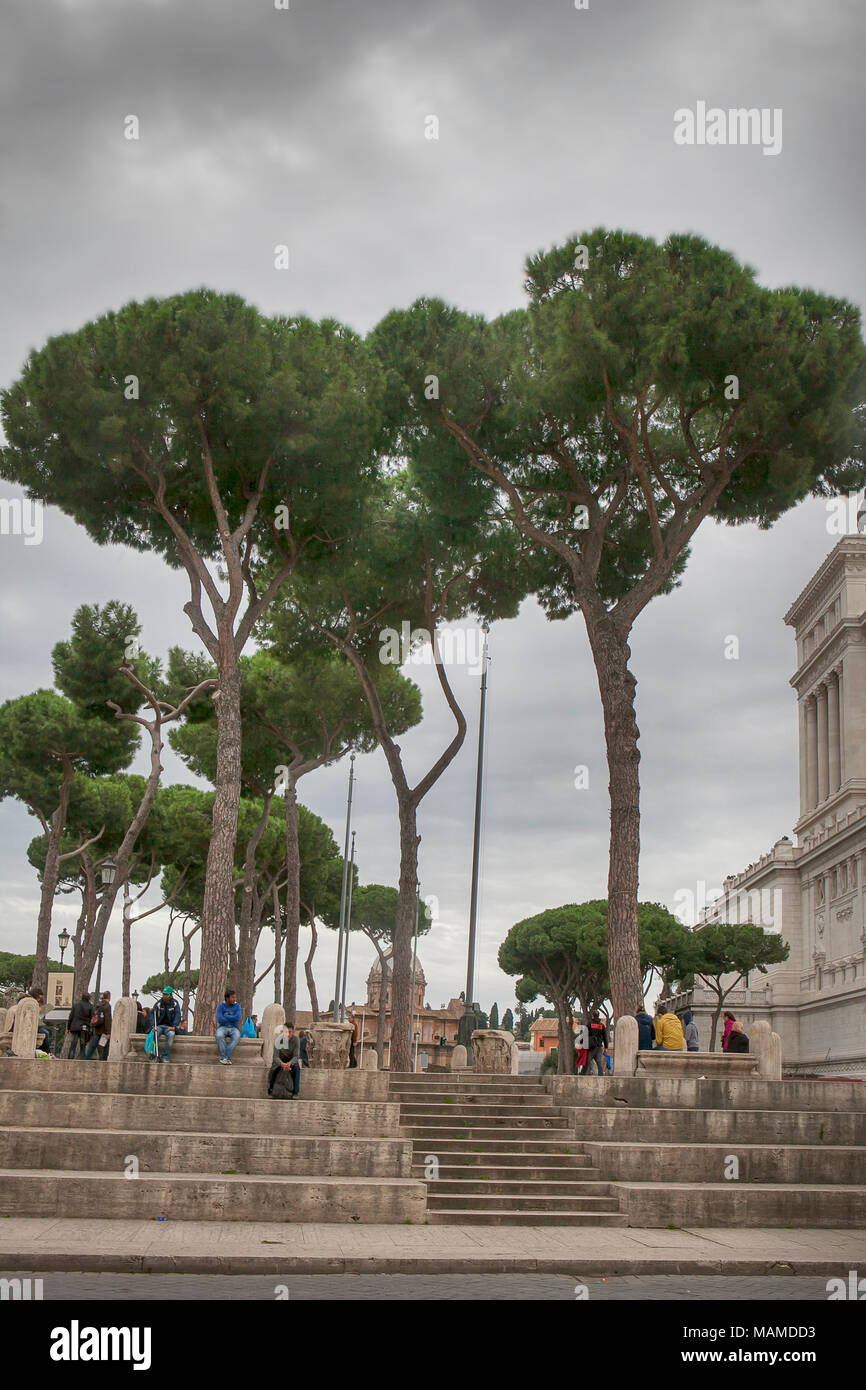 Rom, Italien, 18. November 2017 Blick auf Imperial Forum Rom Stockfoto