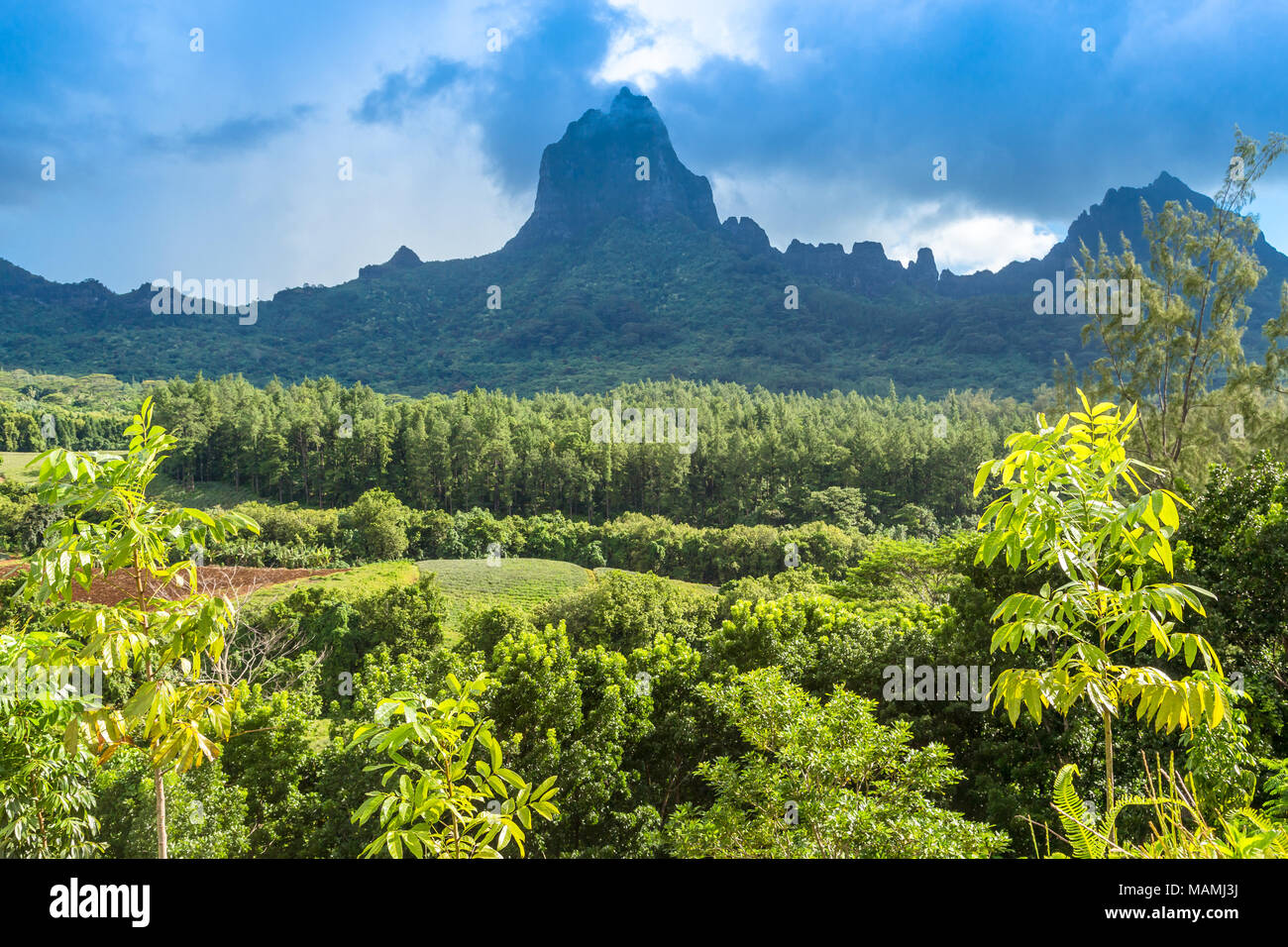 Insel Moorea in Französisch Polynesien. Stockfoto