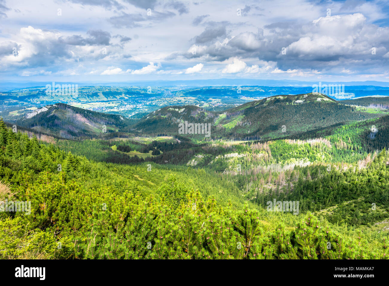 Grüne Hügel, Berge, Landschaft, Vista auf Tal in den Karpaten, Polen Stockfoto