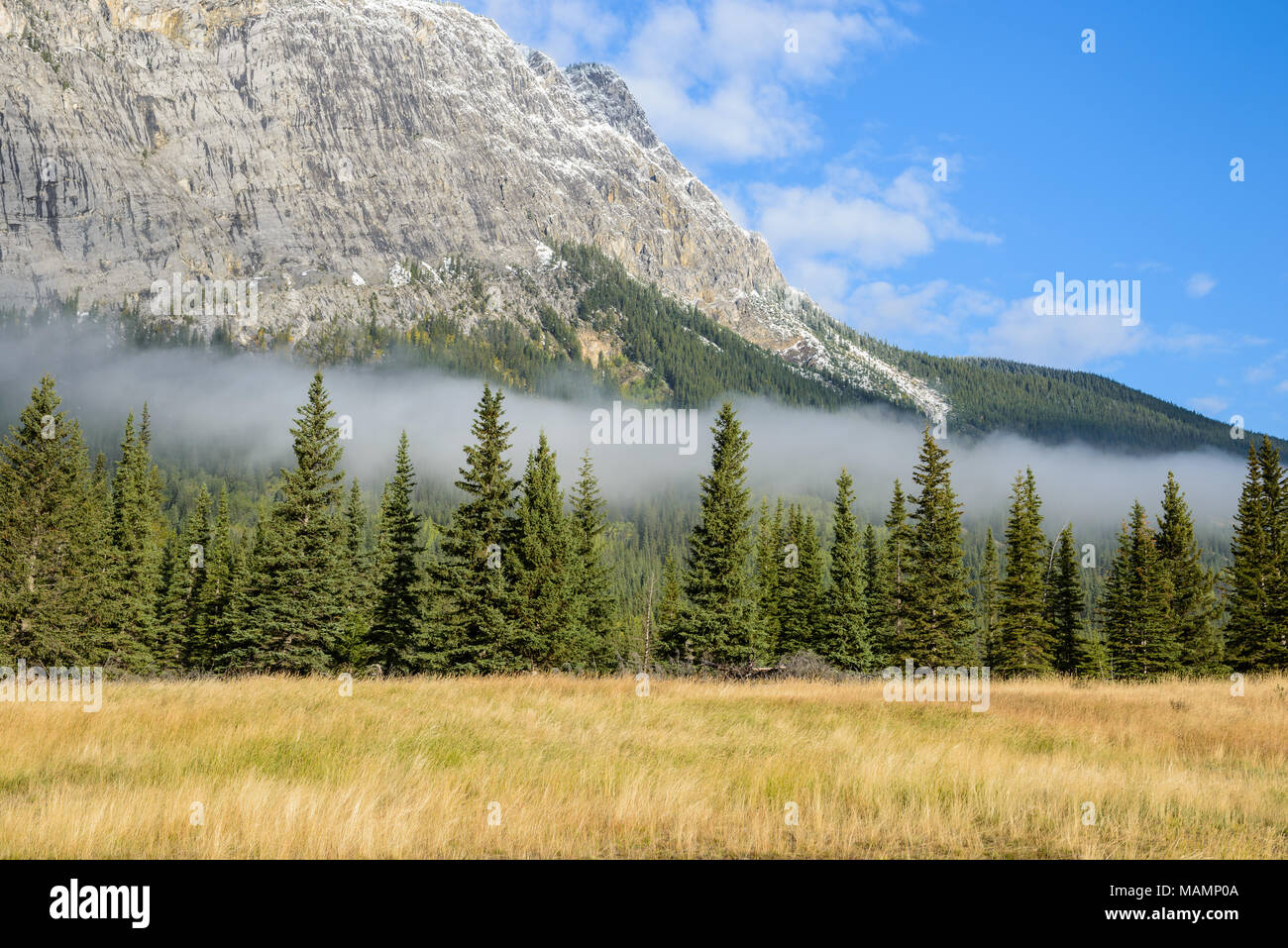 Kanadische Rockies, die durch grüne Wälder und morgen Nebel Stockfoto