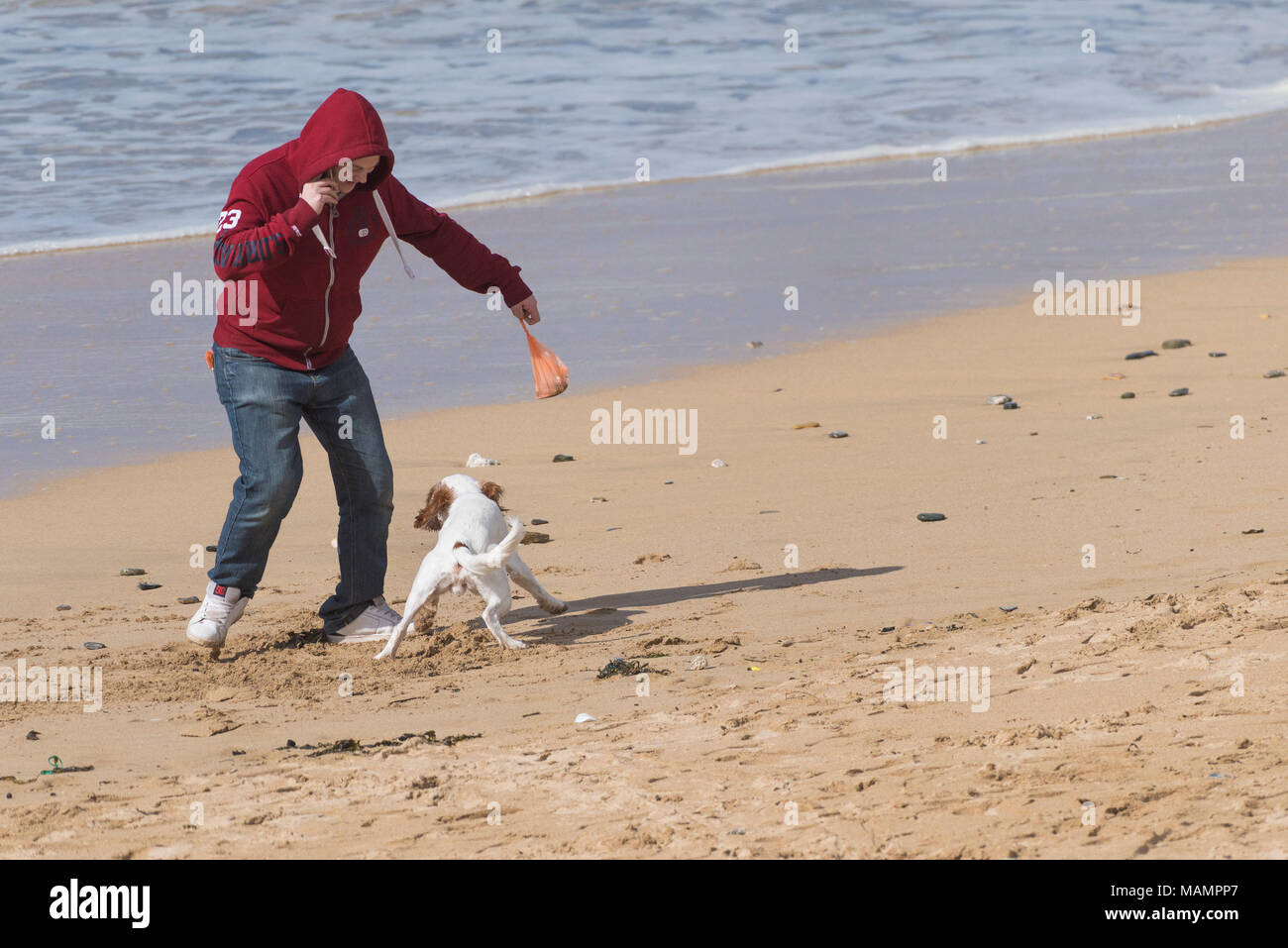 Ein Mann spielt mit seinem Hund auf den Fistral Beach in Newquay Cornwall. Stockfoto