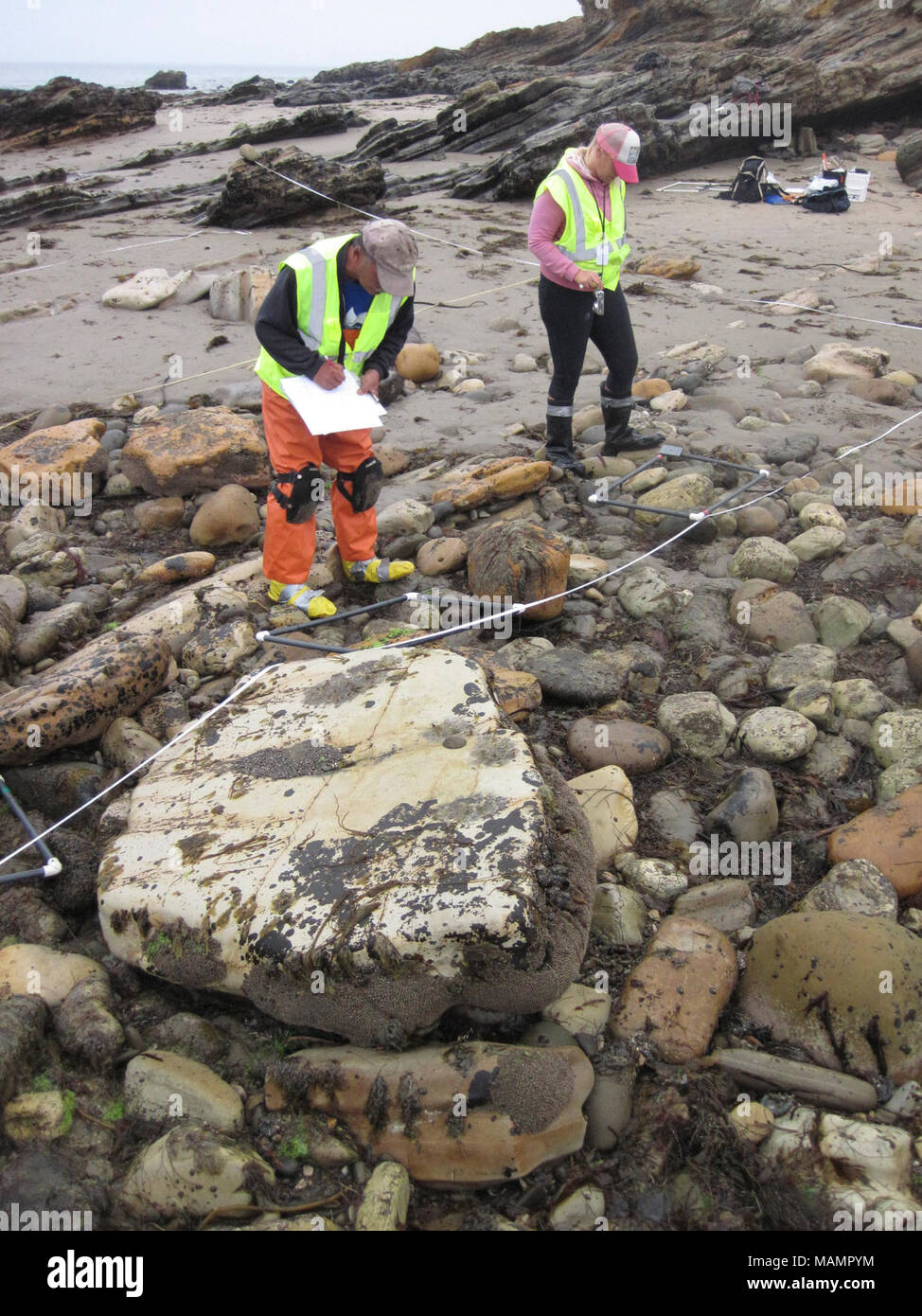 Transects Stockfotos Und Bilder Kaufen Alamy