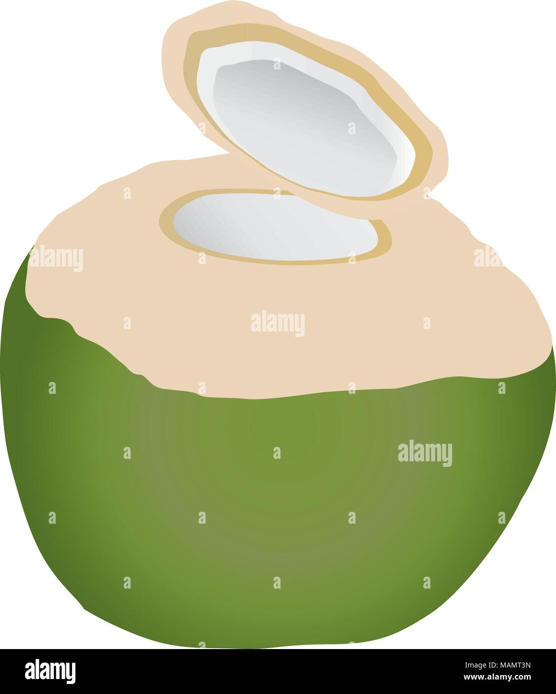 Coconut Produktion Kopra, Kokosöl, und Coco Chemikalien. Stock Vektor