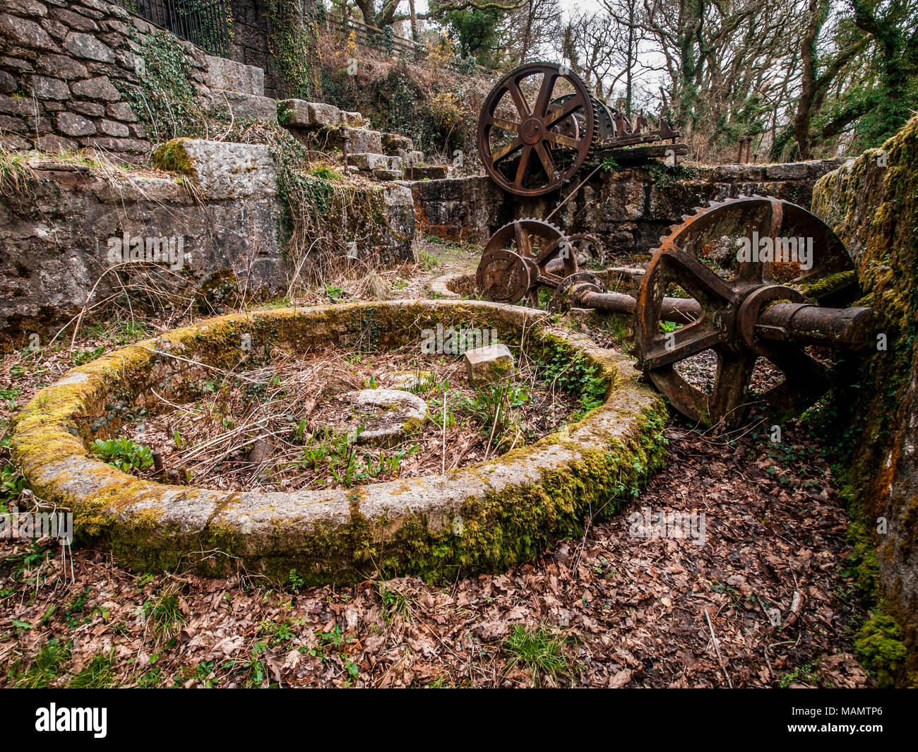 Die Überreste von Wasserrad in Luxulyan Tal, Cornwall. Stockfoto