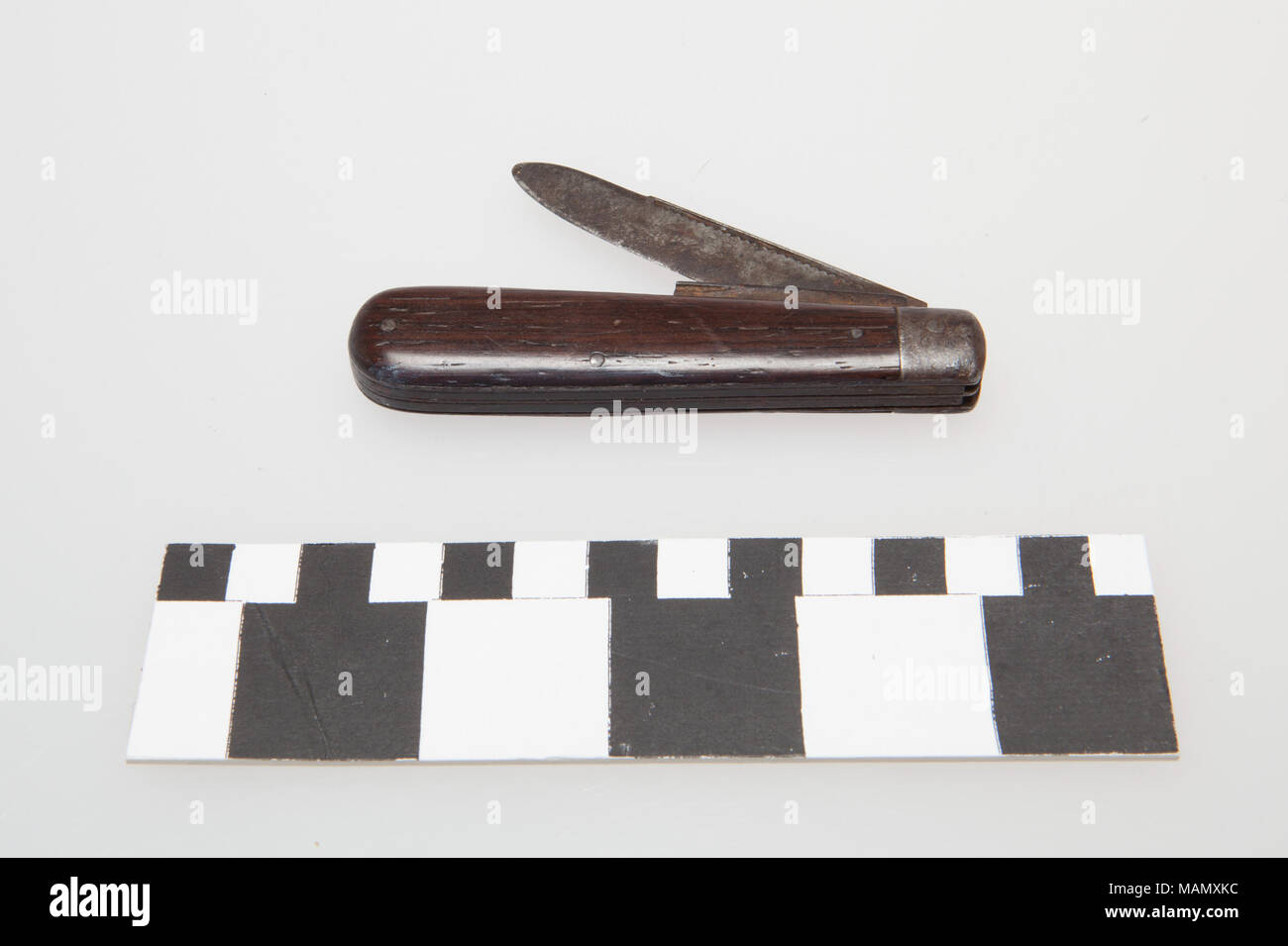 Kleine Taschenmesser mit zwei Klingen und einen Holzgriff. Titel: Taschenmesser. zwischen 1800 und 1900. Stockfoto