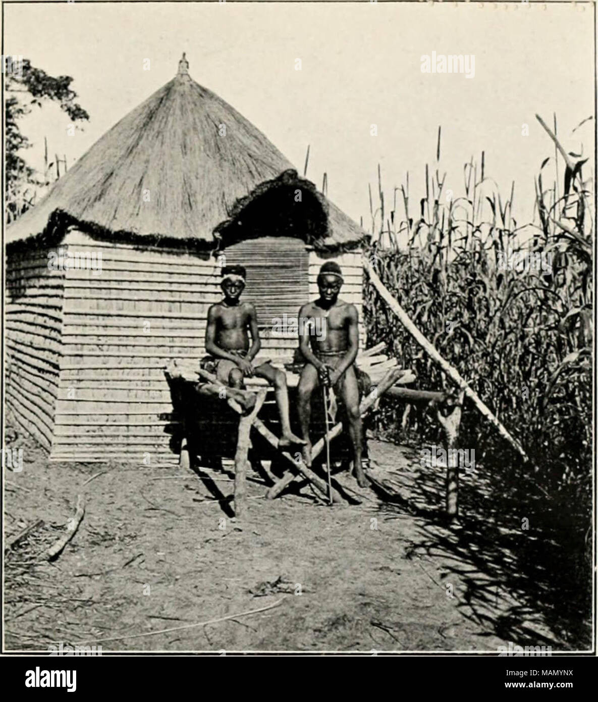 Unter Den Kannibalen Stockfotos und bilder Kaufen Alamy