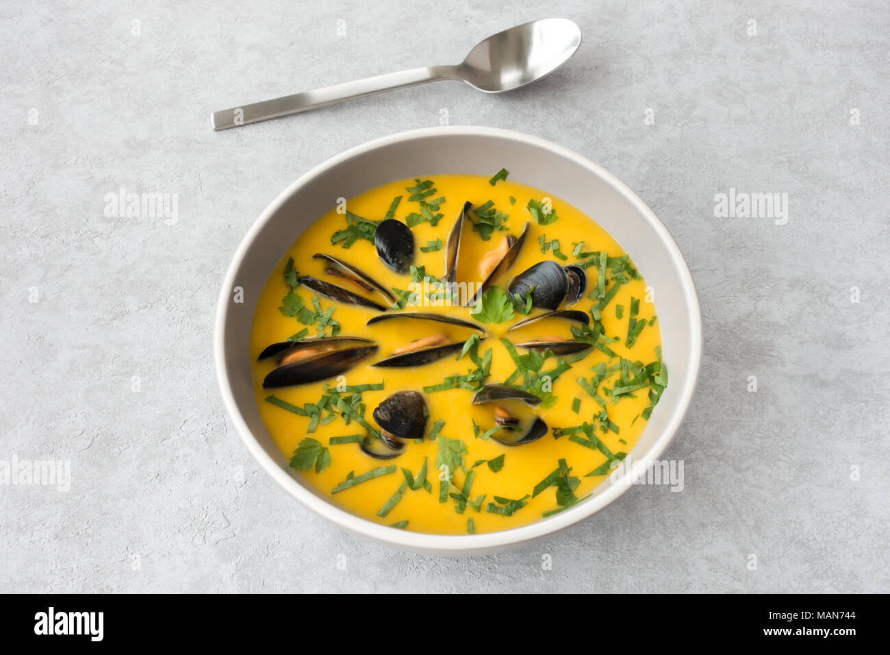 Muschel und Butternut Kürbis Suppe in einer Schüssel auf grauem Hintergrund mit kopieren. Stockfoto