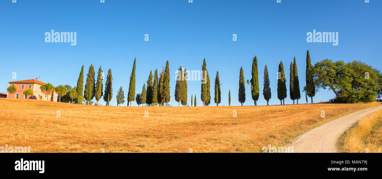 Schönen typischen Panorama Landschaft des Val d'Orcia in der Toskana bei Sonnenuntergang, Italien Stockfoto