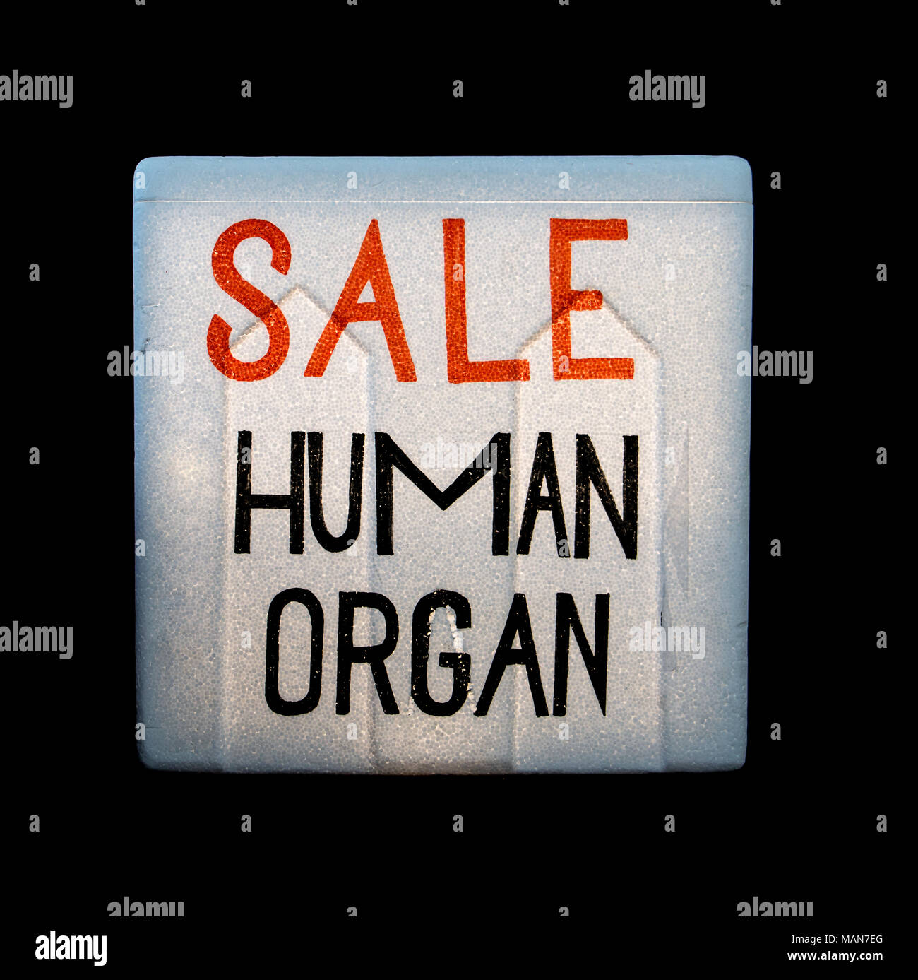 Eine Kühlbox mit menschlichen Organen für die Transplantation. Illegalen Verkauf von menschlichen Organen. Stockfoto