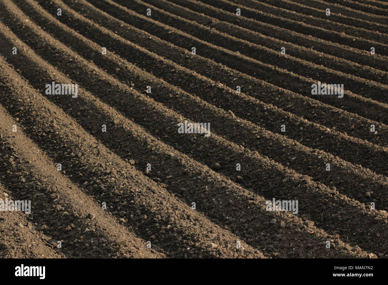 Landwirtschaftlichen Anbau: Frisch gepflügte Erde Stockfoto