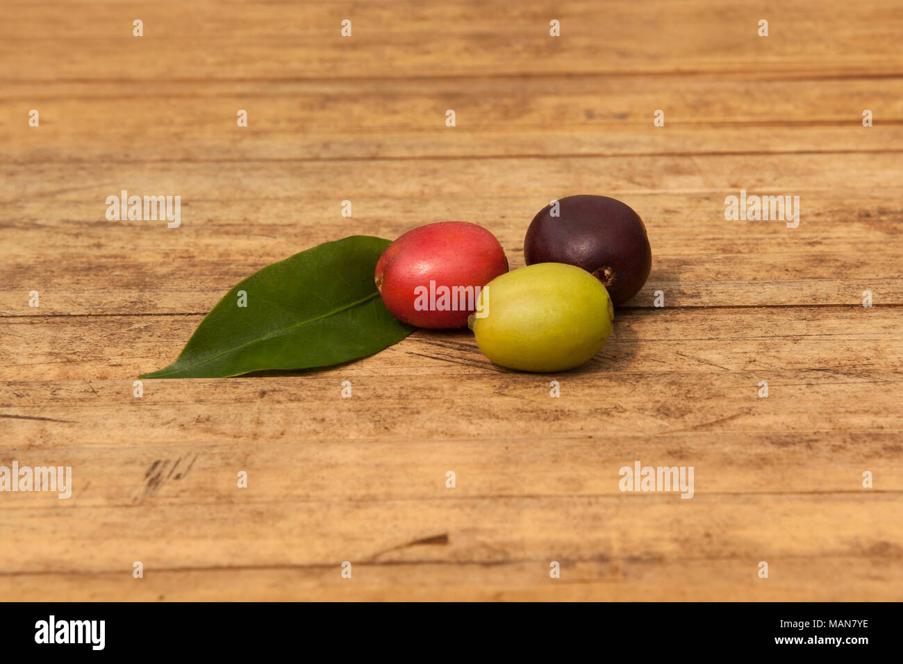 Reif und frischem Kaffee Beeren auf Holztisch. Stockfoto