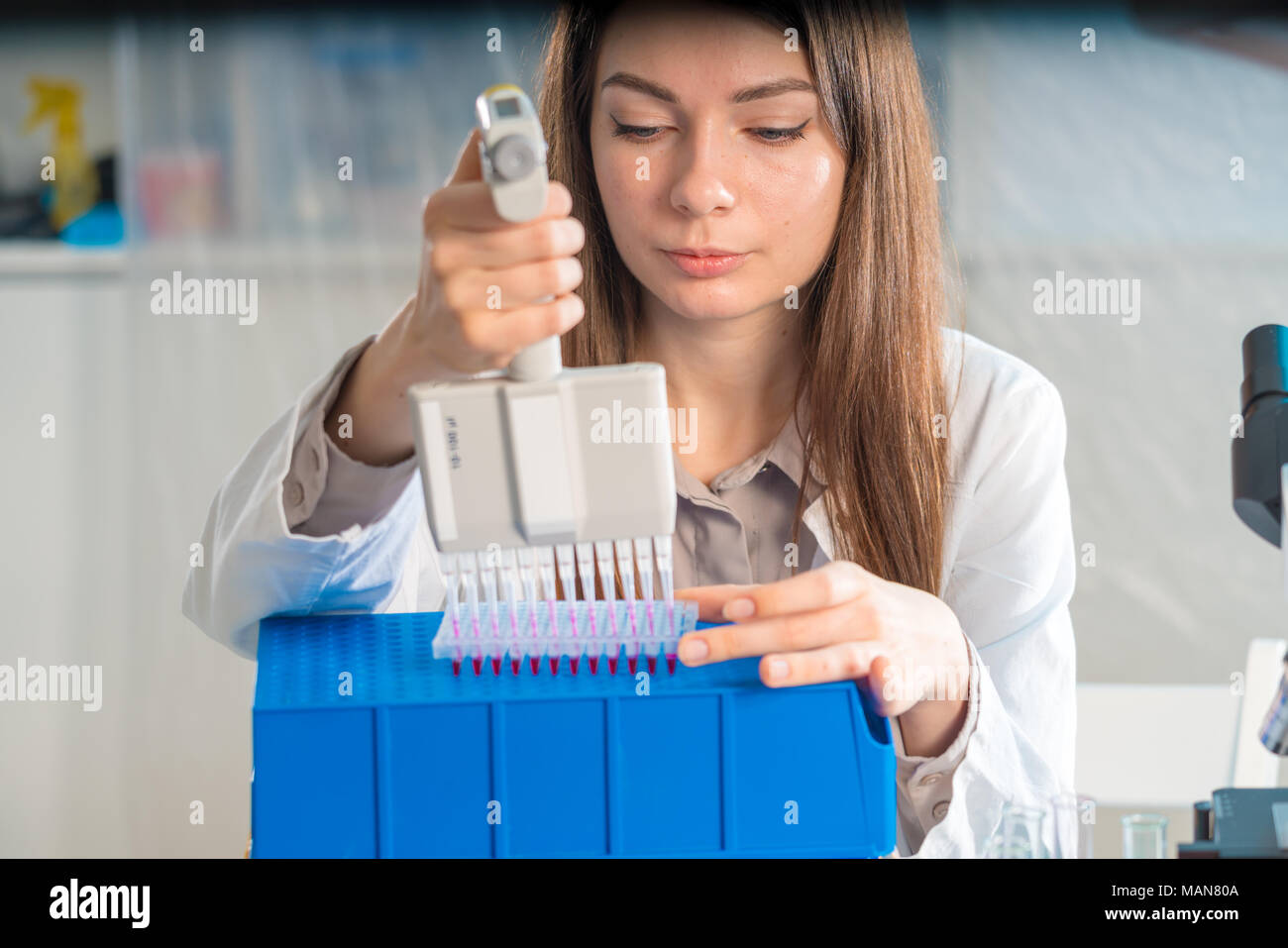 Student Frau mit multi Pipette und andere PCR-Produkte in der mikrobiologischen/genetischen Labor Stockfoto