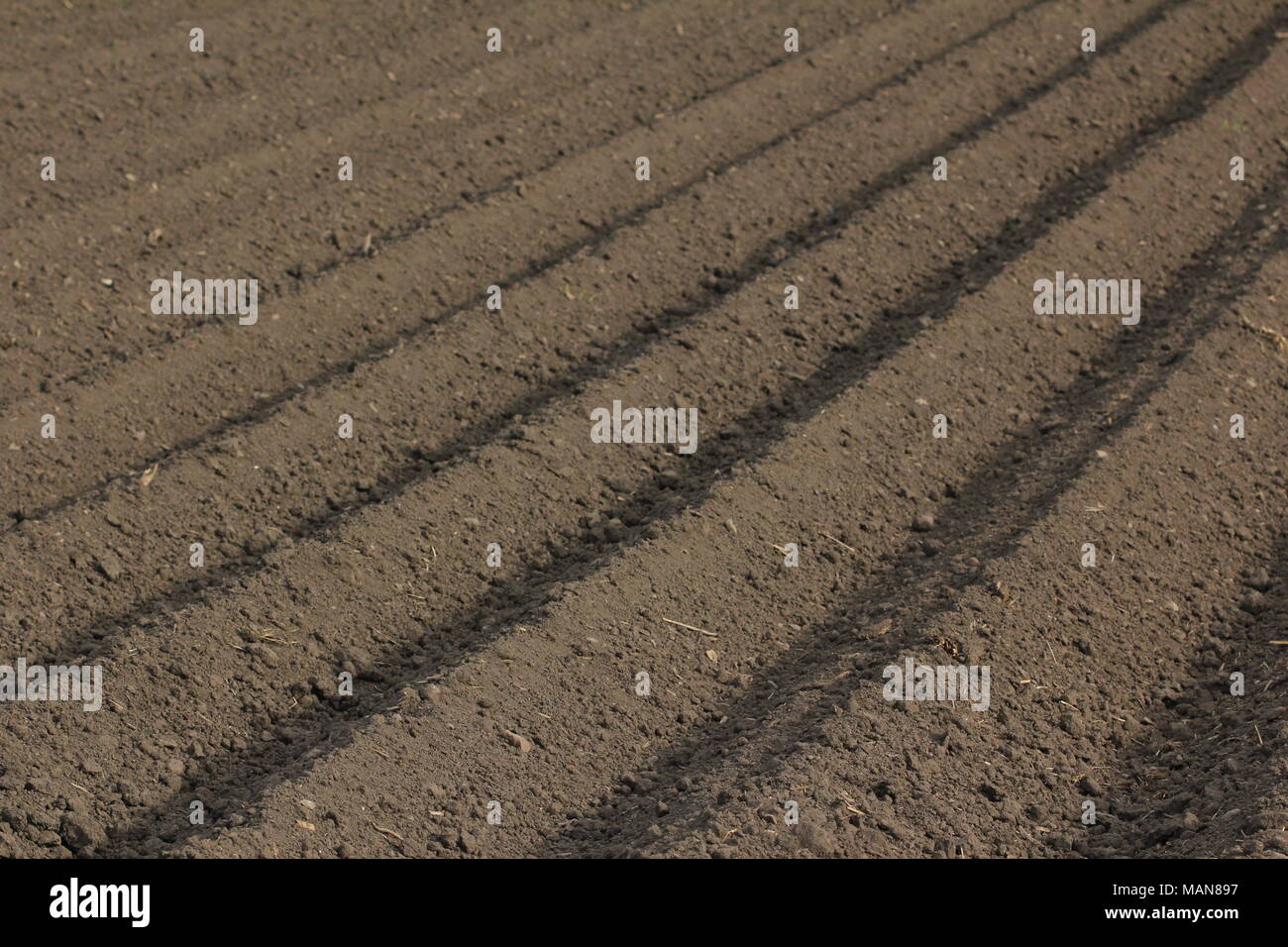 Landwirtschaft: frisch gepflügten Feldes Stockfoto